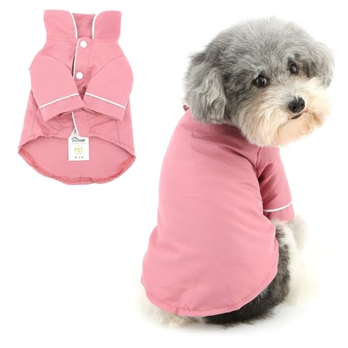 RANPHY   t  ̕ ^ ^ pW} ݕtVc  _炩Rbg lC` Lp t` uhbO hbOEFA  {QԒ іh~ LOBe,oCIbgbh,L