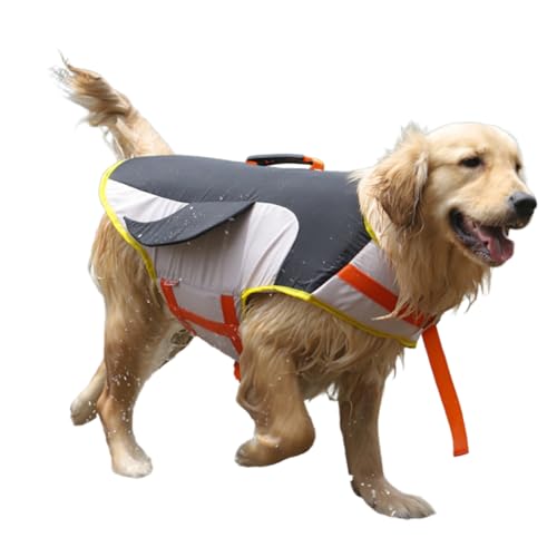 pCtWPbg ^ ЊQ ~} ی V ߉\ ~ ^ ^ ^ ybgp ڗ₷ EȒP  ˃e[v