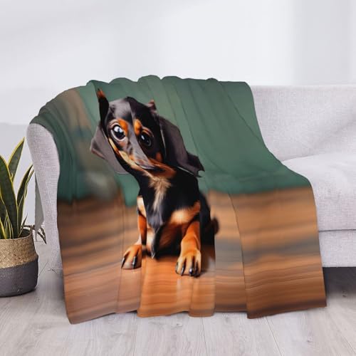 Couverture teckel idée cadeau originale pour anniversaire et fête - 5