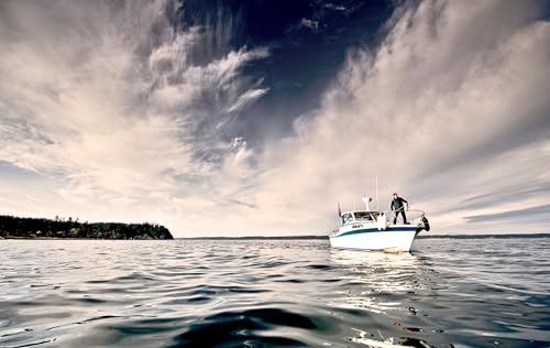 Image of Polyform G Series Boat Fender