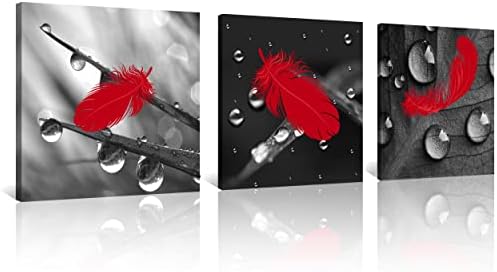 NAN Wind 3 Pcs Red Wall Art Canvas Prints Red Feather Art Paintings Black and White Wall Art Abstract Wall Decor Paintings on Canvas Stretched and Framed Ready to Hang for Home Decor