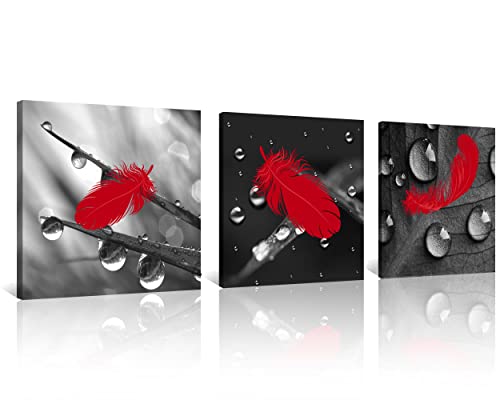 Nan Wind 3 Pcs Red Wall Art Canvas Prints Red Feather Art Paintings Black And White Wall Art Abstract Wall Decor Paintings On Canvas Stretched And Framed Ready To Hang For Home Decor #TOP2