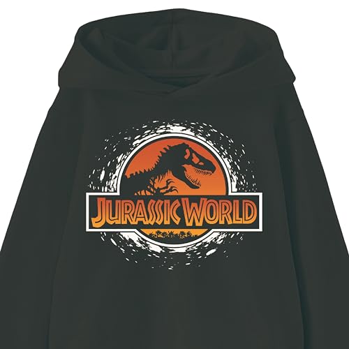 Jurassic Park Pulôver de manga comprida para meninos Jurassic World para meninos jovens tamanhos 4-7