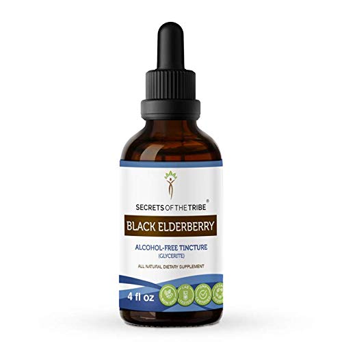 Secrets Of The Tribe Black Elderberry Alcohol-Free Tincture (Glycerite) 680 Mg Black Elderberry (Sambucus Nigra) Dried Berry (4 Fl Oz) Immune Support Supplement #TOP2