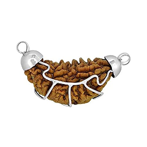 Pendentif Rudraksha 1 Mukhi contre l'anxiété solution harmonie