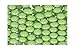 Graziano, Perle di Zucchero 7 mm, Abbinamento Perfetto per una Elegante Decorazione di Torte, Cupcake e Muffin, Ideali per Feste di Compleanno, Colore Verde