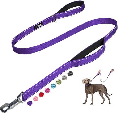 Fida Heavy Duty Dog Leash for Medium Large Dogs, 5 FT, Dual Padded Handles
