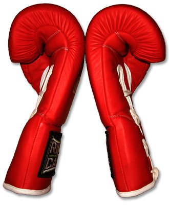 Amazon | ボクシング用プロフェッショナルファイトグローブ-12オンス