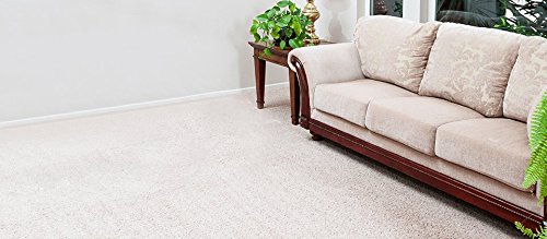 Fette Filter Vacuum Filter Replacement Compatible With Bissell 3-In-1 Stick Vacuums Series Vacs Model 2030 20301 20303 20304 20306 20307 20309 2030B 2030H 2030J 2030K 2030L 2030U 2030V 2030X 2030Z 3346 3346W Compare To Part # 1611501 (Pack Of 6) #TOP4