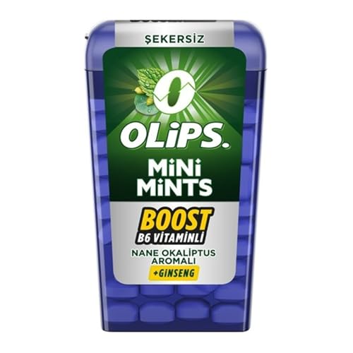 Mini Mints Nane & Ginseng Aromalı Şekersiz Şeker 12.5g