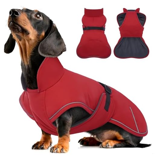 Hjyokuso Hundemantel Dackel, Winddichter Wasserdichter Wintermantel Für Dackel Hunde, Hundejacke Für Große Hunde, Hundemantel Winter Mit Bauchschutz Und Leinenloch, Winterjacken Für Hunde - Rot
