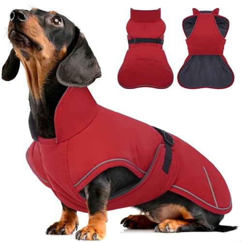 Hjyokuso Abrigo Perro Impermeable, Abrigo Perro Salchicha, Chaqueta Invierno Perro, Ropa para Perros con Forro Polar Suave Teckel, Ropa para Perros Salchicha Pequeños, Medianos y Grandes XS-XL
