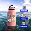 Amazon.com: 100Pcs Noahs Ark Stickers Pack, Aesthetic Vinyl Waterproof ...