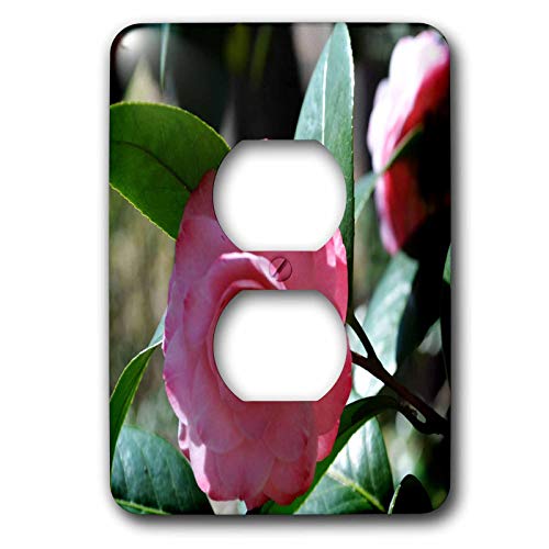 Cache-prise Rose Camellia pour cacher les interrupteurs ternes
