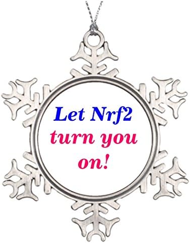 Tree Branch Decoration Nrf2 Christmas Tree Decor Glutathione