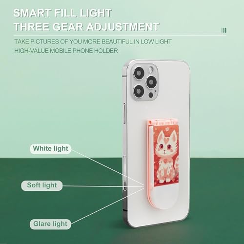 Support de téléphone portable lumière selfie chaton pêche rechargeable 3 modes
