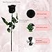 Black Single Forever Roses Luxury Gift for Women/Men, Fresh Flowers Bouquet for Girlfriend, Wife, Mom, Anniversary, Valentine's Day, Wedding, Graduation, Christmas, Birthday, Unique Presents for Her