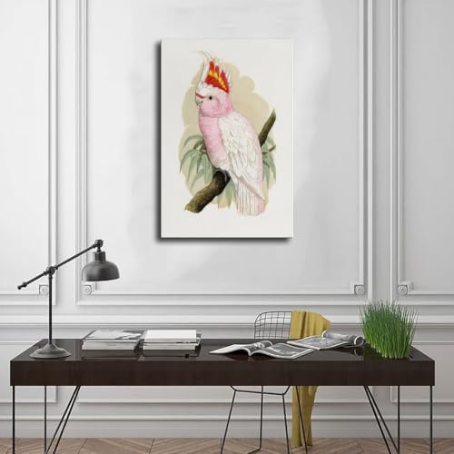 Tableau cacatoès sur toile vintage prestige pour grand paysage