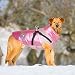 DoggieKit Hundemantel Winter Warm Gepolstert Puffer Pet KostümHund Kleidung Winterweste Hundejacke Wintermäntel wasserdichte Warme Jacke Sweater für Kleine Mittelgroße Große Hunde (S, Rosa)