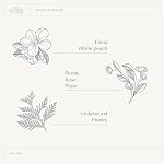 A LA MAISON Earth Body Scrub – White Tea & Rose – Natural Pumice Scrub with Shea Butter & Olive Oil – Gently Exfoliates & Softens Skin – French Formula – Plant-Based – 7 oz – Amber Collection - Image 5