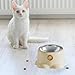IEUDNS Tilted Cat Feeder Bowl Feeding Dish Home Indoor Outdoor Backyard Removable Stainless Steel Bowl Food Dispenser for Puppy Pets, Vanilla Brown