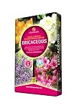 GROWMOOR ERICACEOUS COMPOST 60L
