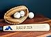 Graduation gift, Engraved Baseball Bat, Commencement Gift,Senior Grad Gift, Personalized Baseball Bat, Custom Baseball Bat,Grad Baseball Bat