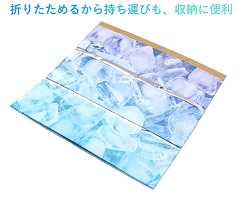 パール金属 アイスボックス 折りたたみ ICE BOX 冷た倶楽部 