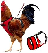 Yesito Premium Chicken Harness with 5.5-Foot Matching Leash – Customizable Size, High Resilience,...