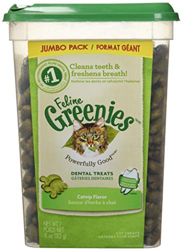 Feline Greenies Natural Dental Care Cat Treats Catnip Flavor, 11 Oz. Tub #TOP5