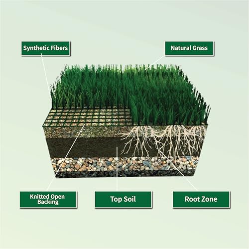 HYBRIDX Lawn Hybrid Grass Tiles, Hybrid Turf Squares for Outdoor Use - Durable Grass Squares Against Lawn Gaps - Flexible Artificial Grass Turf for Garden - 6.5ft by 6ft