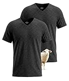 SUNCHIRI 2 Pack Merino Wool T Shirts for Men, Merino Wool V-Neck 100% Wool Base Layer, Breathable Undershirt for Travel, Fitness(Darkgrey, M)