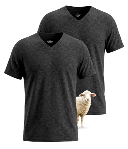 SUNCHIRI 2 Pack Merino Wool T Shirts for Men, Merino Wool V-Neck 100% Wool Base Layer, Breathable Undershirt for Travel, Fitness(Darkgrey, 2XL)