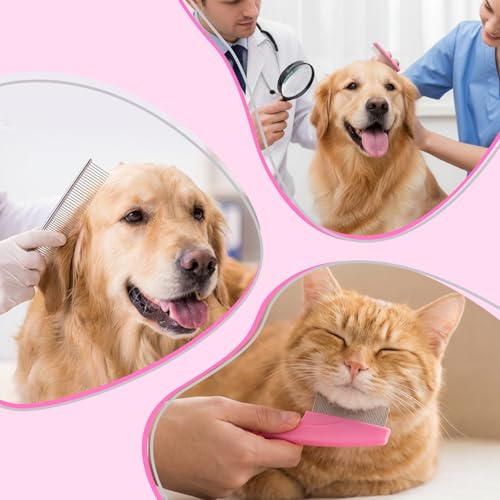 6 Pcs Pets Grooming Comb Kit for Small Dogs Tear Stain Remover Comb Dog Face Combs for Eye Cleaning Gentle Grooming Tool Dematting Tool for Cats Dogs Remove Knots Stains Crust Mucus