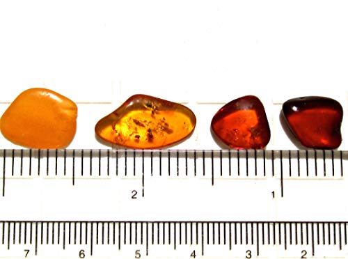 Ian And Valeri Co. Natural Baltic Amber Tiny Loose Gemstones Set Of 5 #TOP2