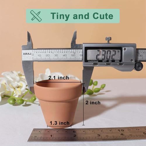 vensovo 2 Inch Small Mini Terracotta Pots - 12 Pack Terra Cotta Succulents Flowerpot with Drainage, Clay Ceramic Pottery Planter for Indoor/Outdoor Plants, Crafts, Wedding Favor