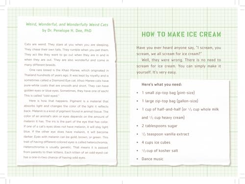 Iggy Peck and the Mysterious Mansion: The Questioneers Book #3 - Image 7