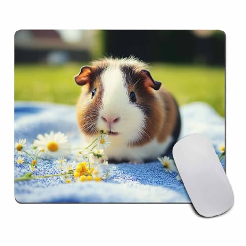 Amcove Tapis de souris amusant en caoutchouc antidérapant, motif cochon d'Inde personnalisé, pour ordinateurs portables, 240 mm x 200 mm x 3 mm