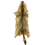 Springfield Leather Company Coyote Fur Hides (#2)
