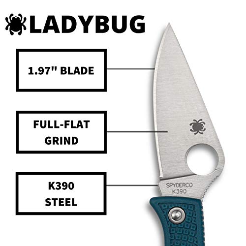 Spyderco Ladybug 3 couteau de poche bleu avec son manche de 6 cm robuste
