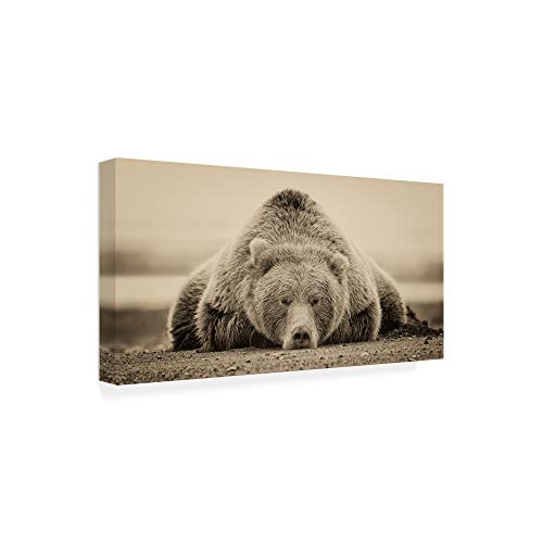 Trademark Fine Art Canvas Wall Art - Phburchett 'Deep Sleep' Wall Art for Living Room, Bedroom, or Office Décor
