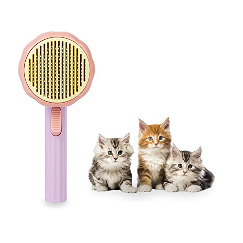 Top 10 Brush For Sensitive Cats of 2022 Katynel