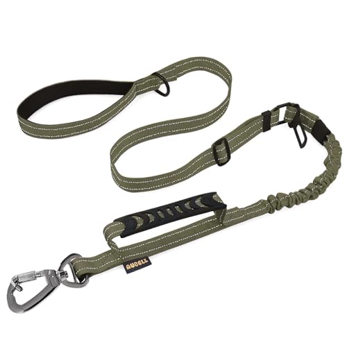 AUBELL Tactical Dog Leash Heavy Duty,4-6ft Reflective Strong No Pull