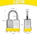 Padlocks with Same Key, LQYN 24 Pcs Laminated Keyed Padlock (1-9/16
