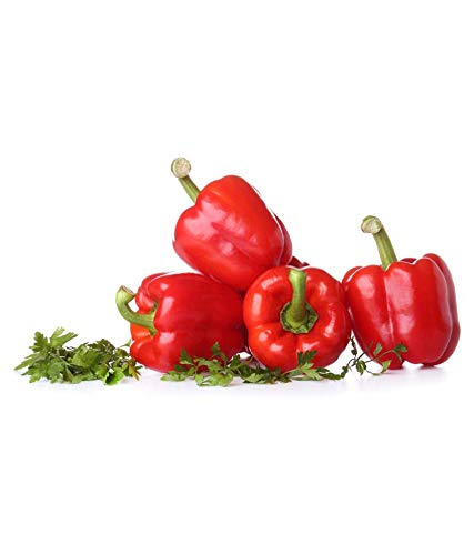 Jioo Organics Red Capsicum Seeds, Shimla Mirch Seeds, Sweet Bell Pepper Seeds (B0822JW7N1) Amazon Price History, Amazon Price Tracker