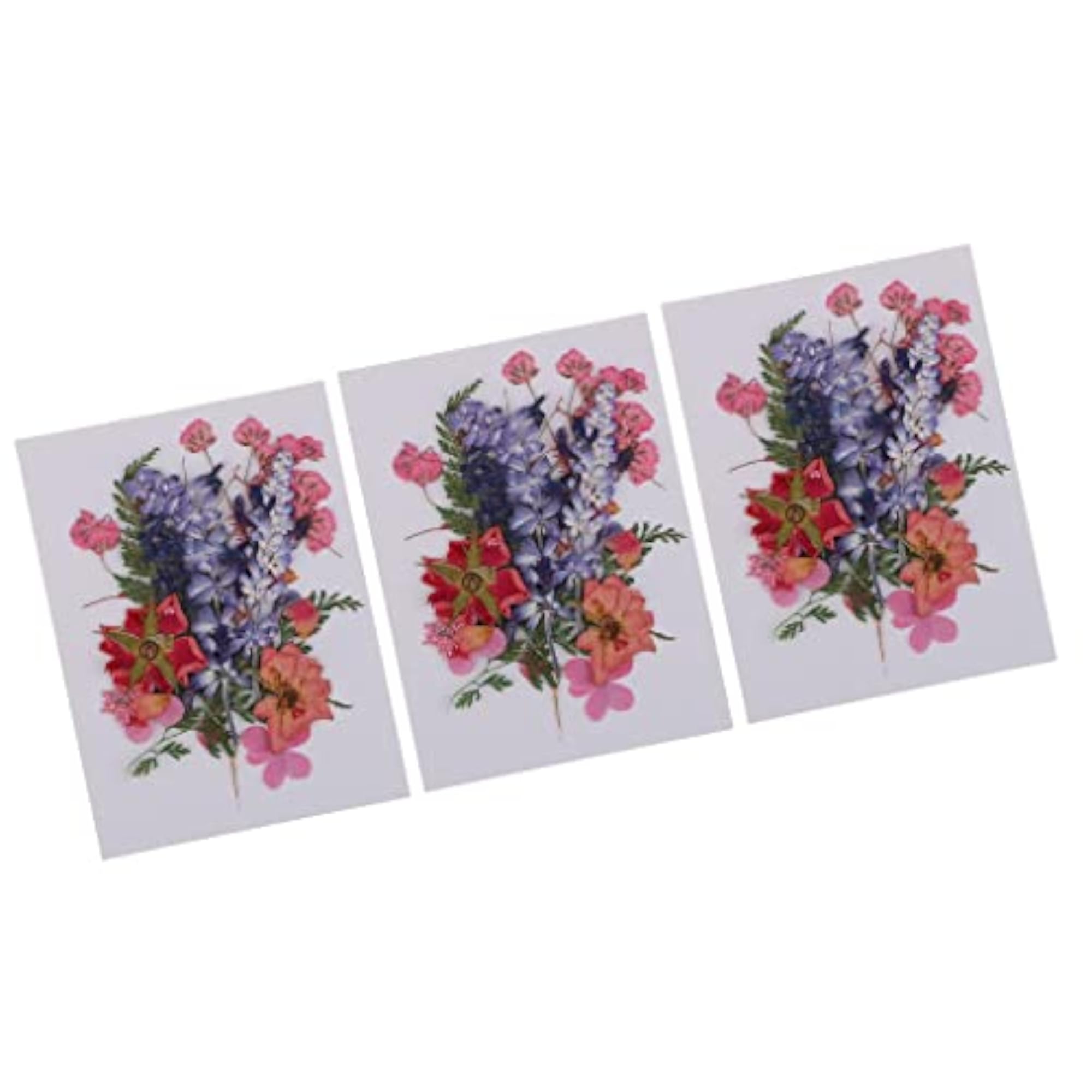 3 Multiple Dried Flowers for DIY Arts Crafts