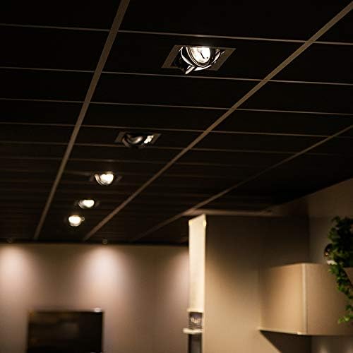 Qazqa - Recessed Spotlight I Downlight Black Adjustable 2-Way Light - Oneon 111-2- - Design - Suitable for LED G53 | 2 Way Light - Steel Recessed Way Light - Suitable for Living Room I Kitchen I Bed