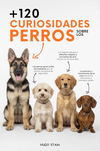 Imagen de 120 CURIOSIDADES sobre PERROS: Curiosidades de perros con datos curiosos y sorprendentes