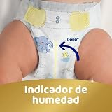 Dodot Sensitive Baby Diapers, Size 2 (4-8 kg), 240 Nappies + Gift of 40 Aqua Pure Wipes 99% Water, Up to 12 h Anti-Leak Protection and Skin Care, Monthly Pack - 10