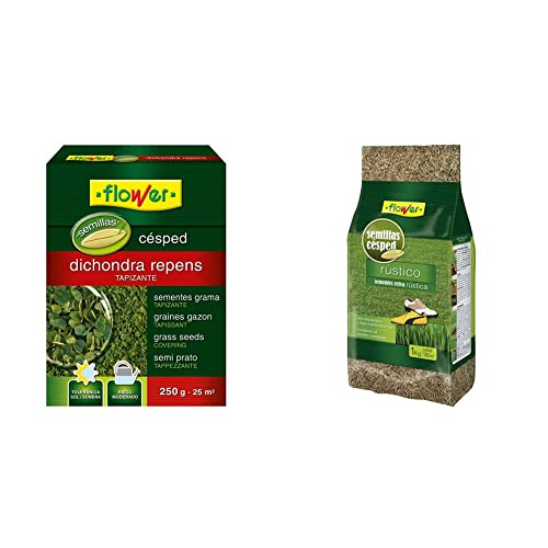Flower Semillas Dichondra Repens, 250 gr & Semillas Césped Rústico, 1 kg